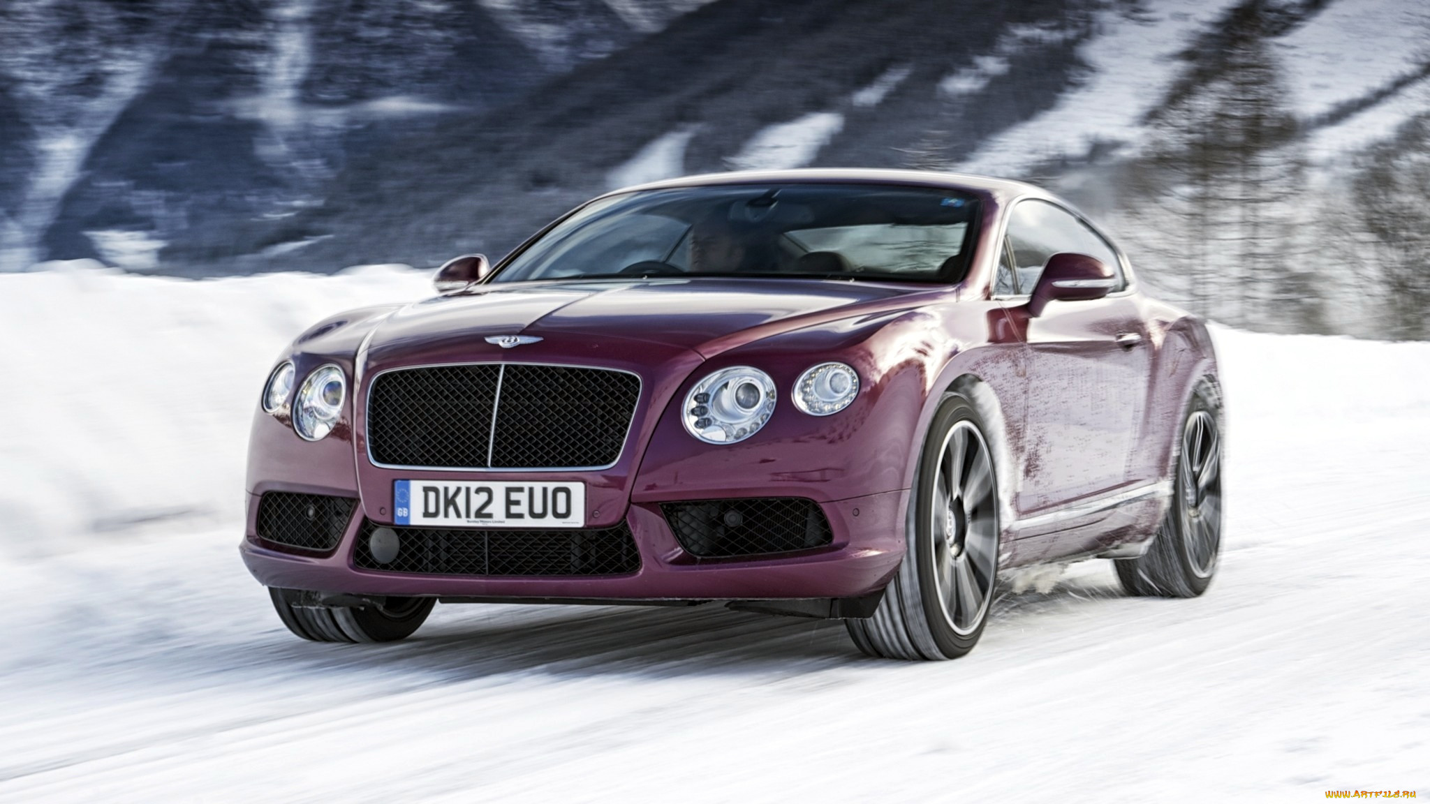 bentley, continental, gt, , -, , , motors